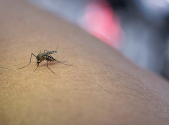 Malaria Outbreak Prediction