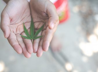 Cannabis for Mental Health