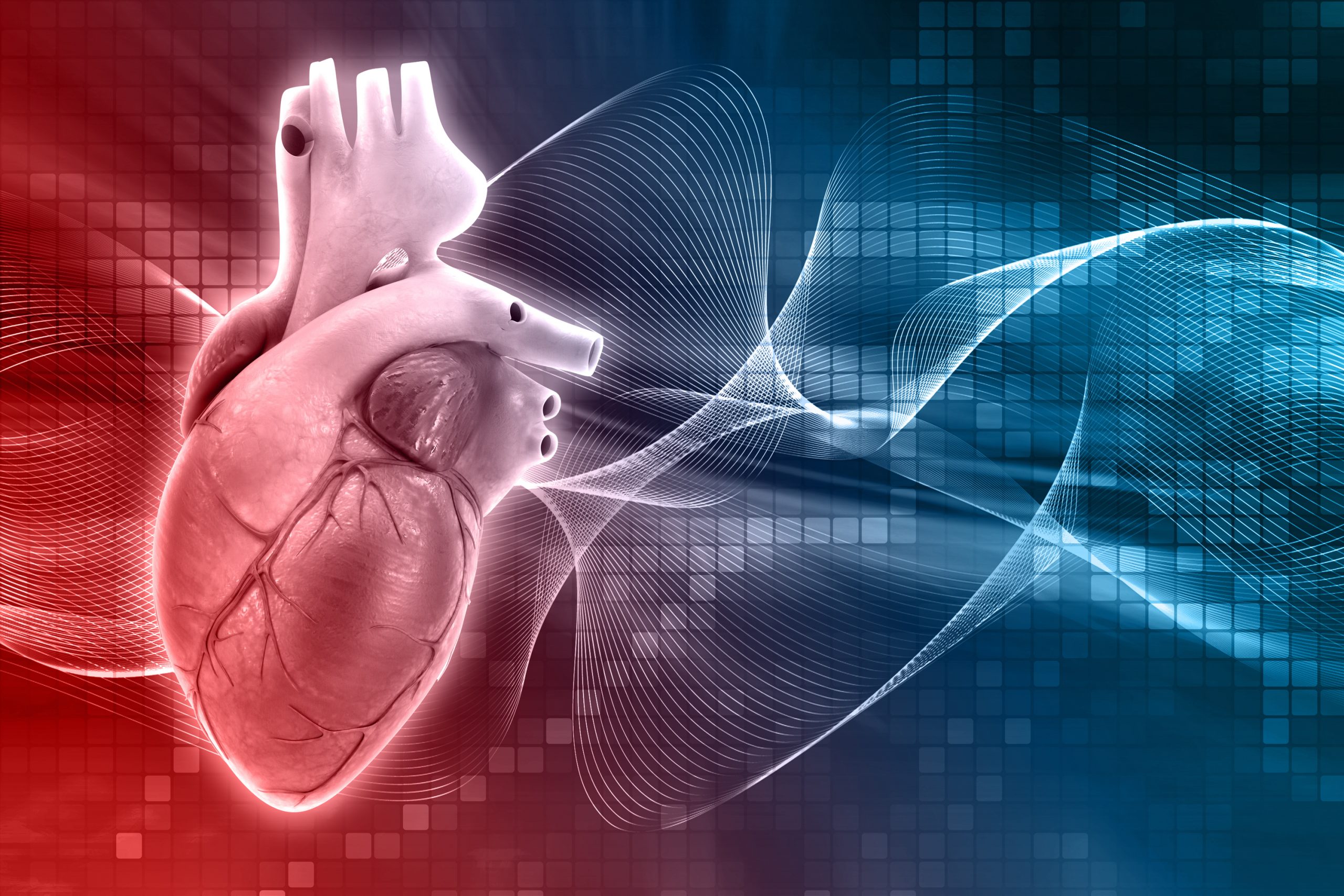 Atrial Fibrillation Treatment