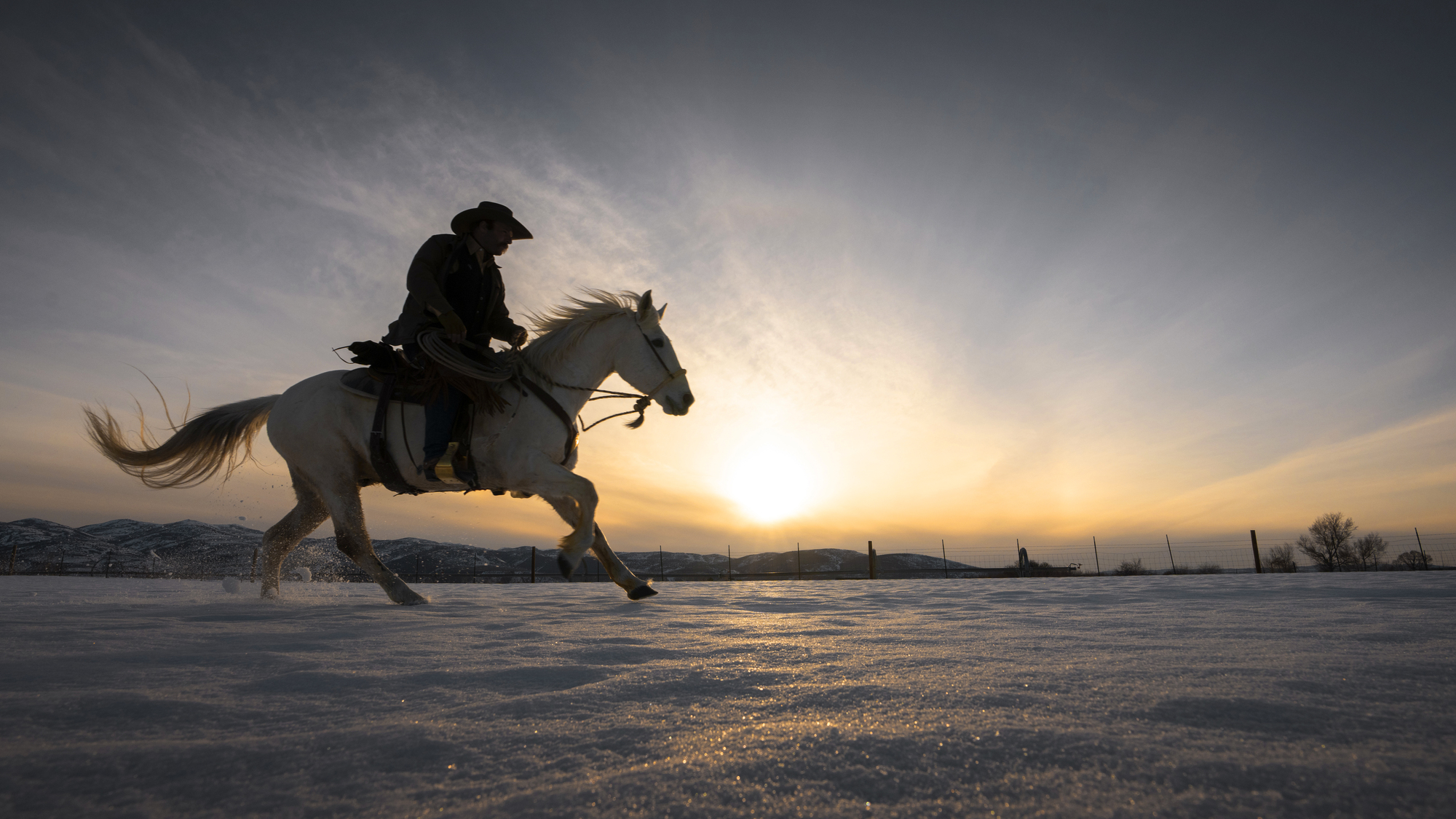 Equine-Facilitated Therapy