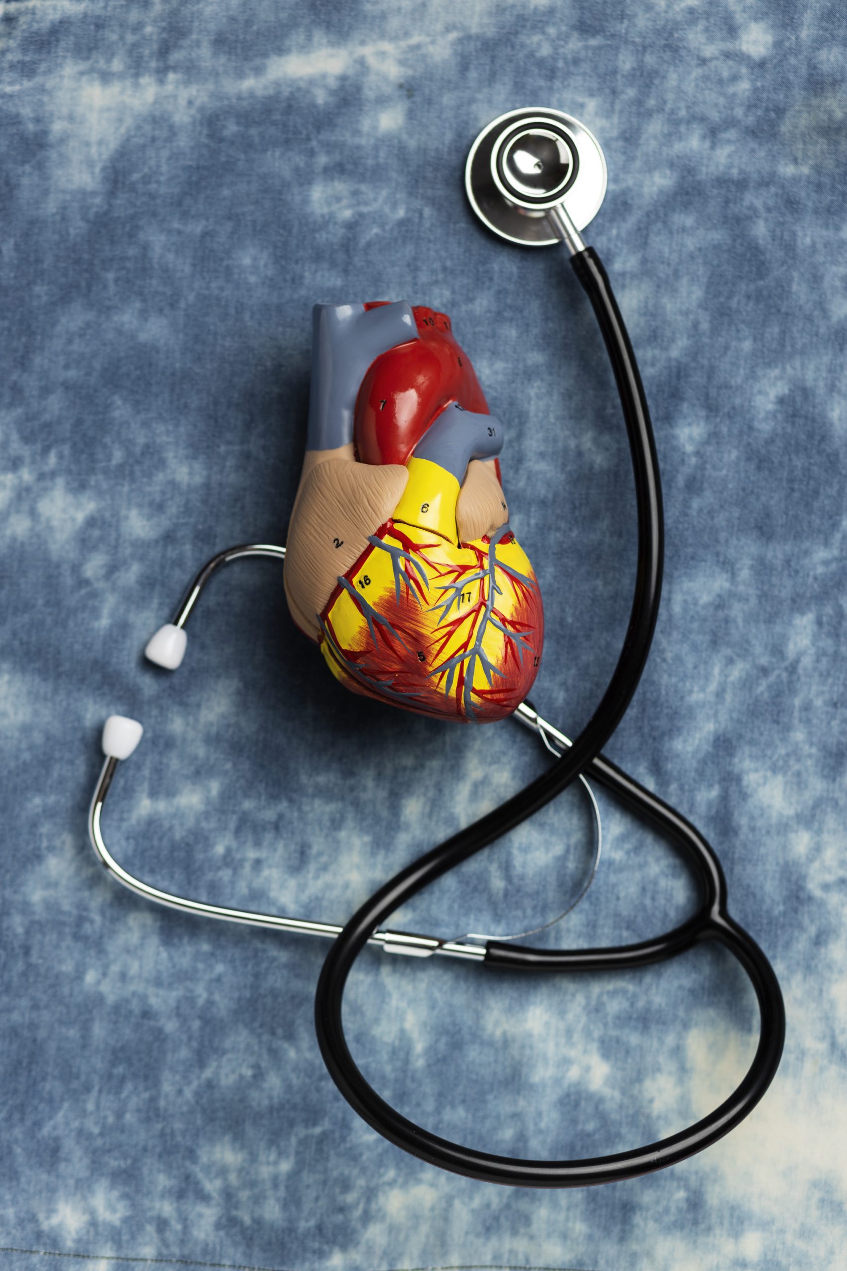 congenital heart abnormalities