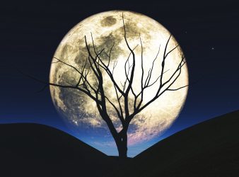 Suicide rate increases during full moon week