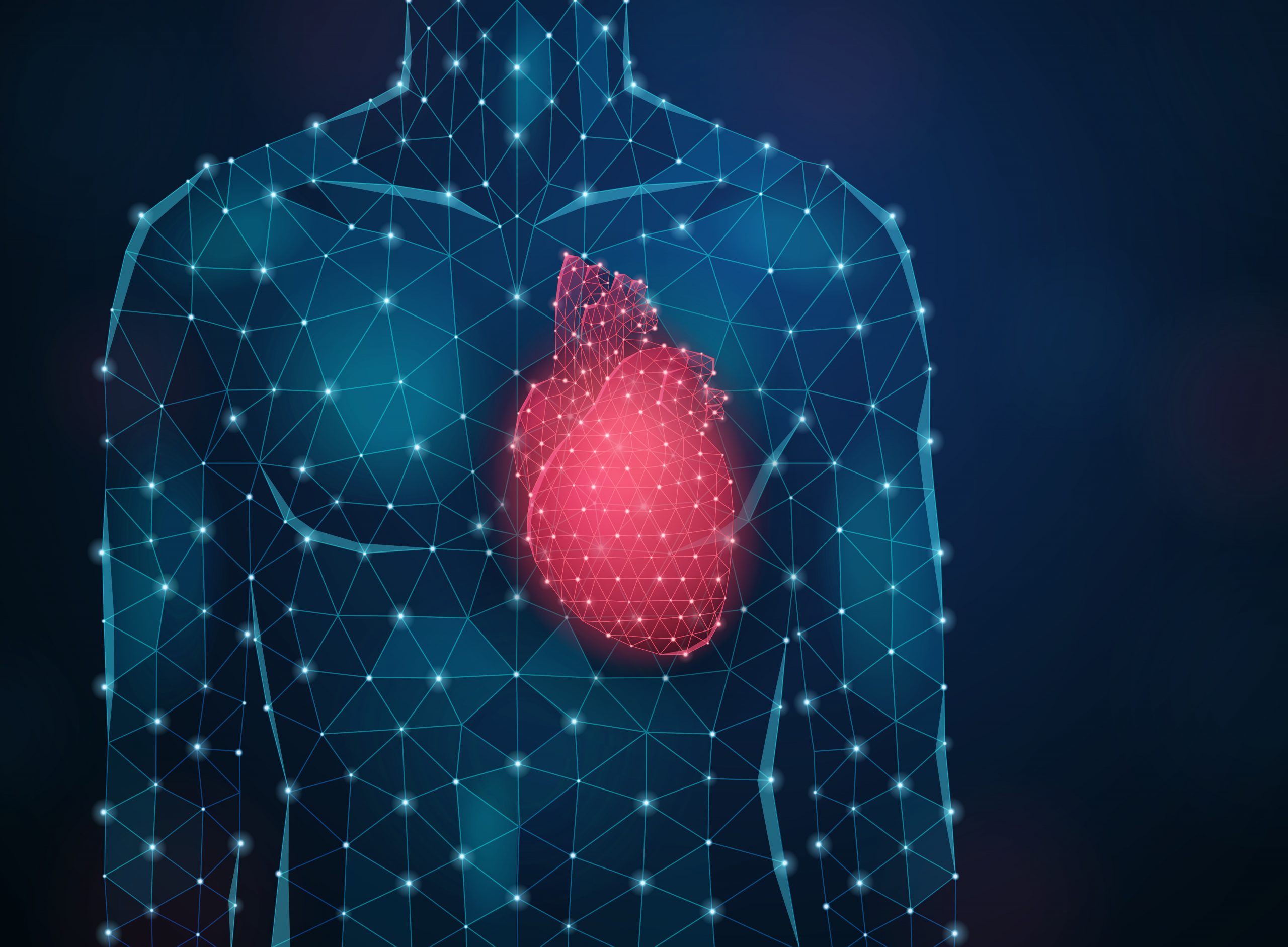 Predicting Heart Performance Using AI