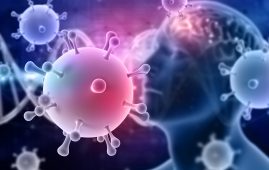 Coronaviruses Avoid Immune Response
