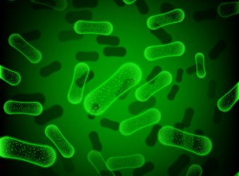 E.coli infections