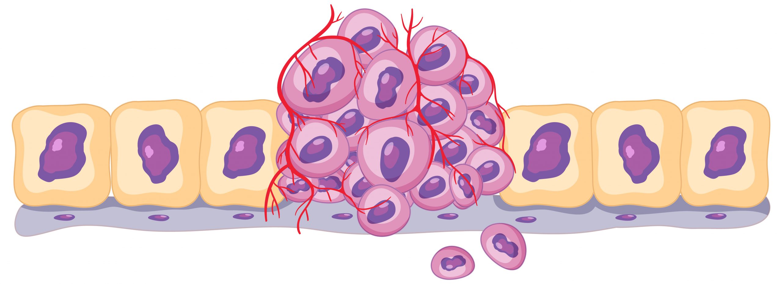 Pan-Cancer T Cell Atlas