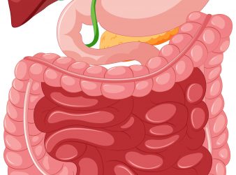 Swallowing Mechanisms