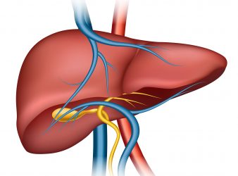 Liver Disease