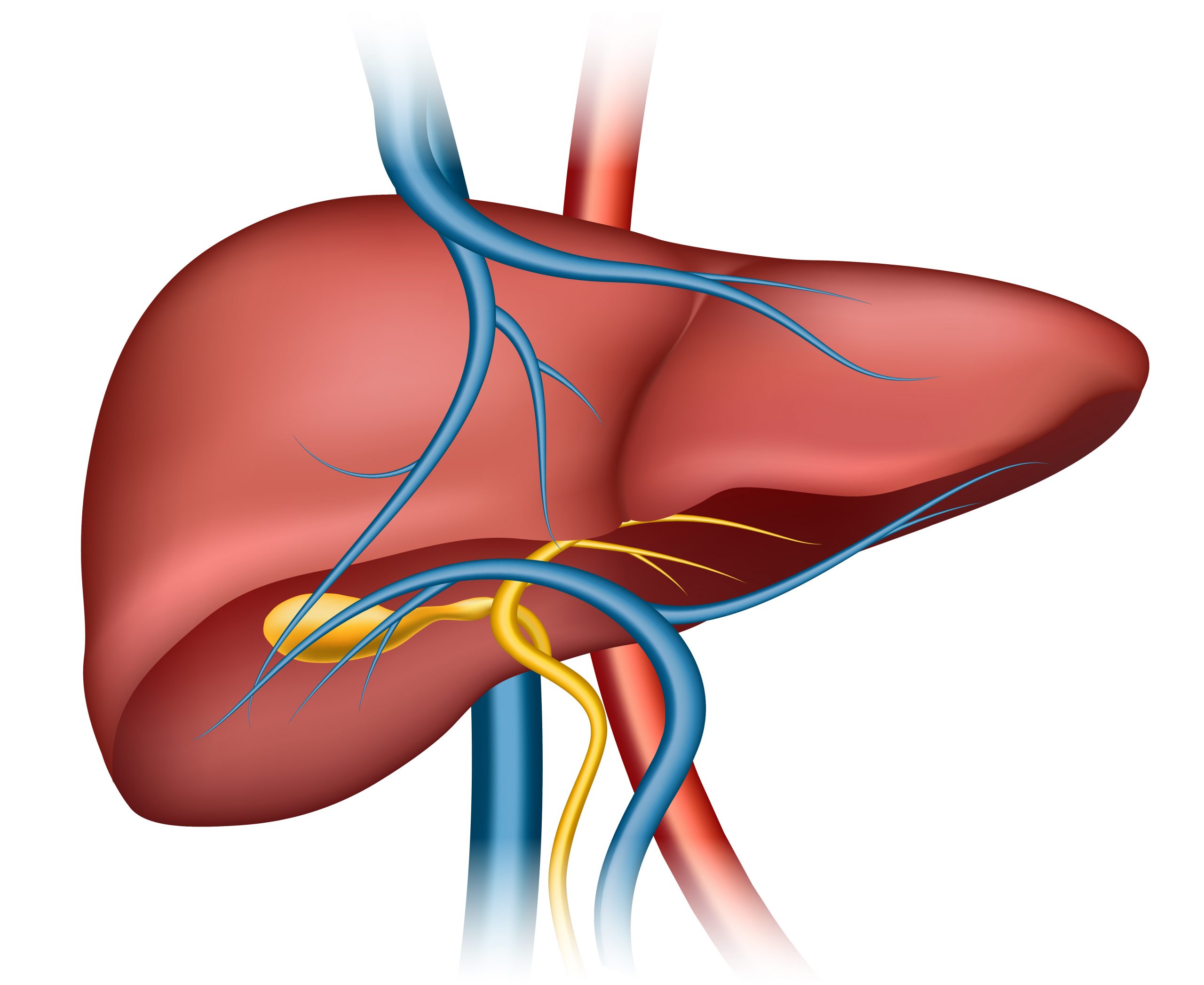 Liver Disease