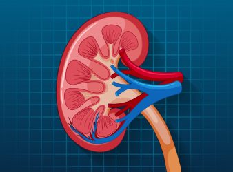 Chronic Kidney Disease Cause Revealed