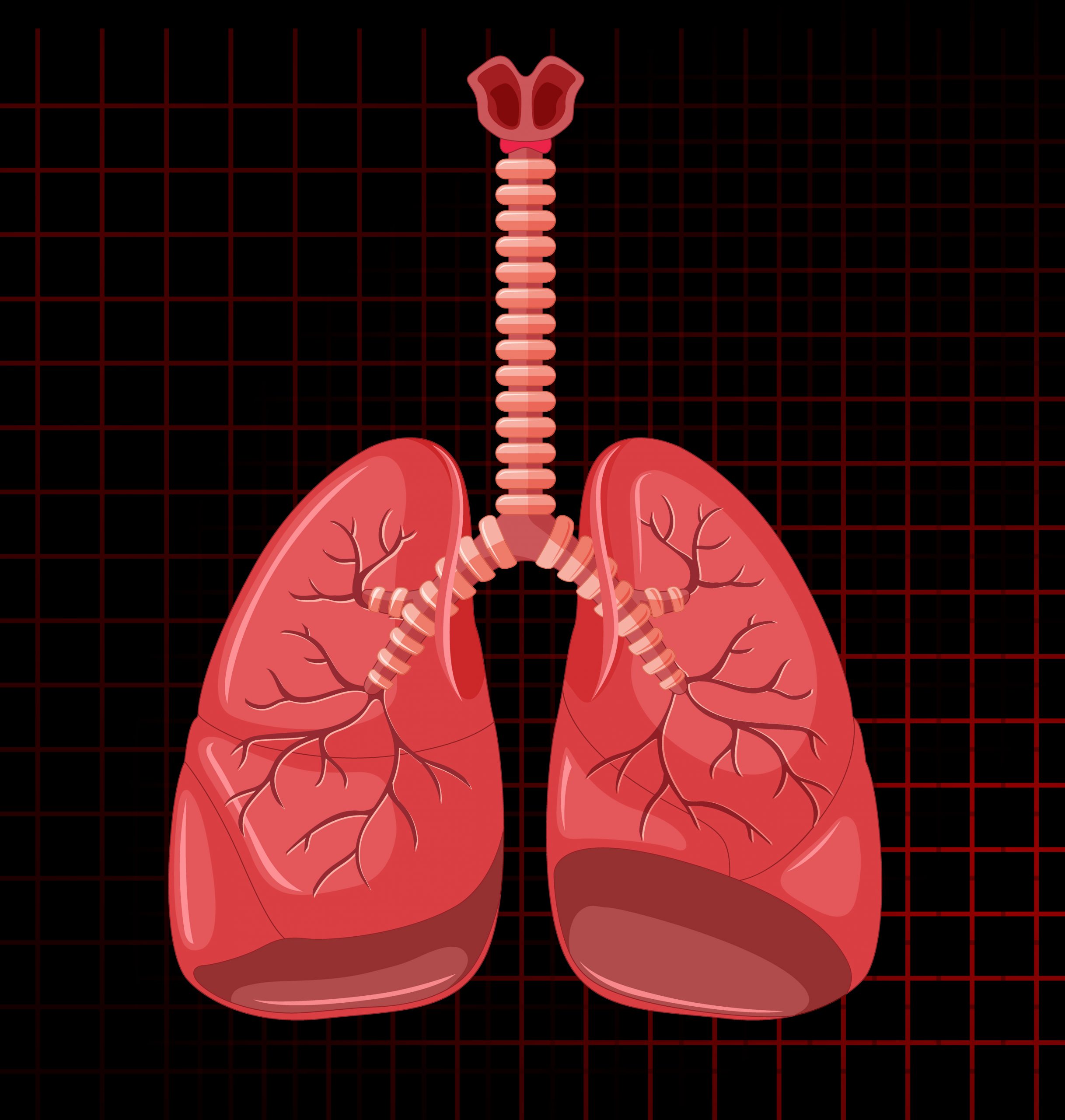 Pill Halves Lung Cancer Risk