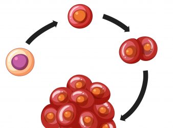 Tumor Mutation