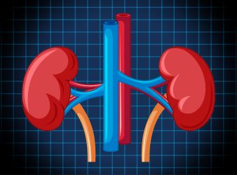 Mortality in Kidney Failure Patients Reduced