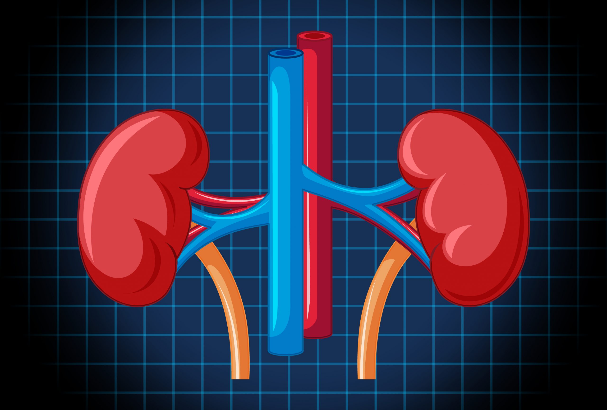 Mortality in Kidney Failure Patients Reduced