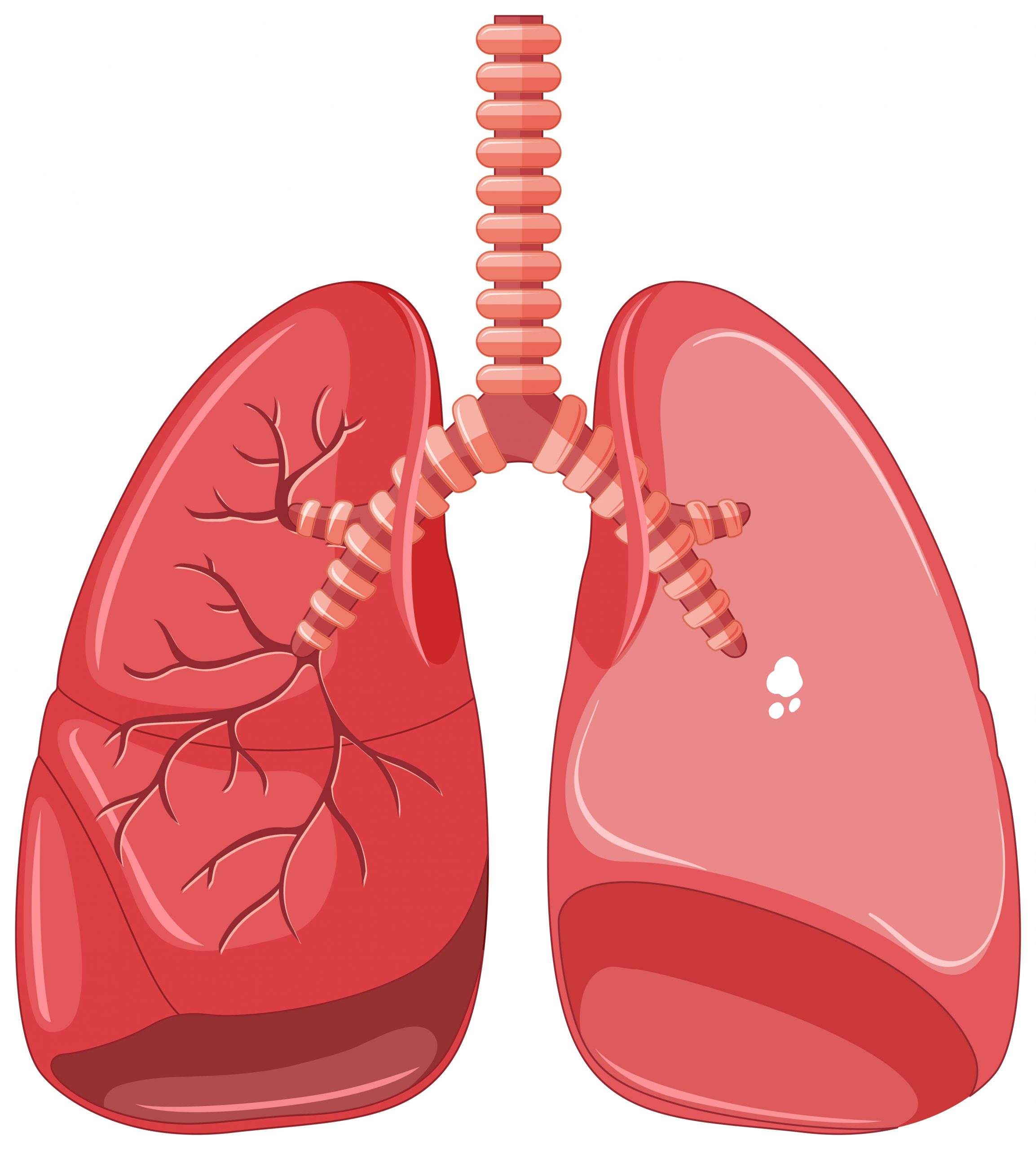 Immunotherapy Improves long-term survival in Lung Cancer