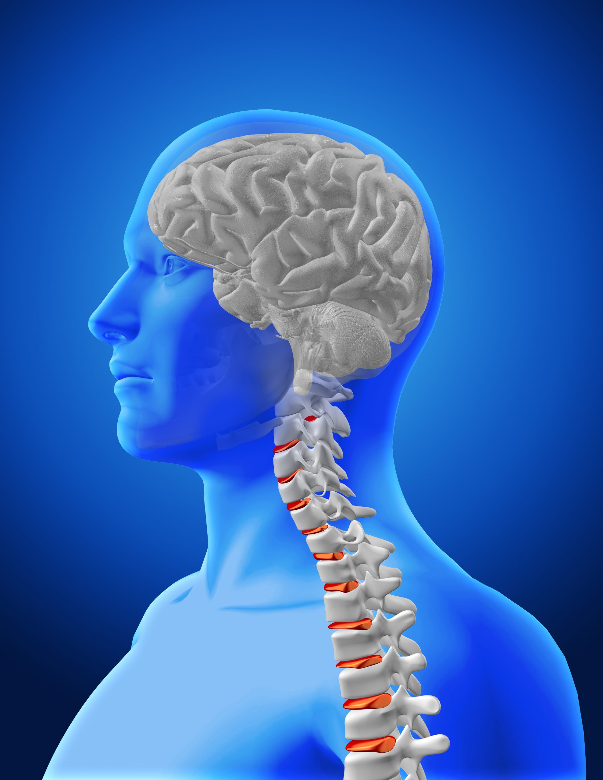 Oral Medication for Multiple Sclerosis Treatment