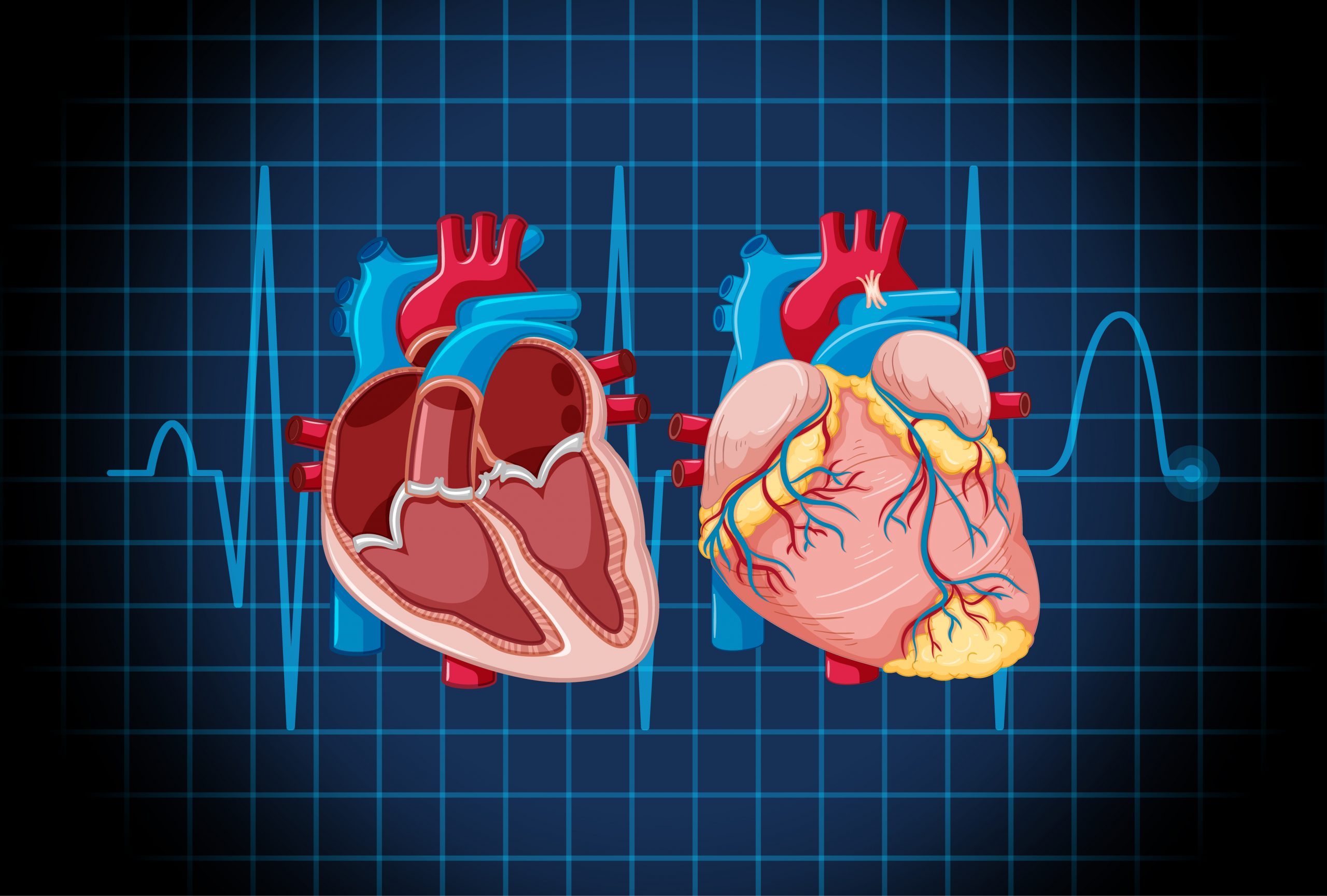 3D Printed Heart Muscle to Beat with Fiber Infused Ink