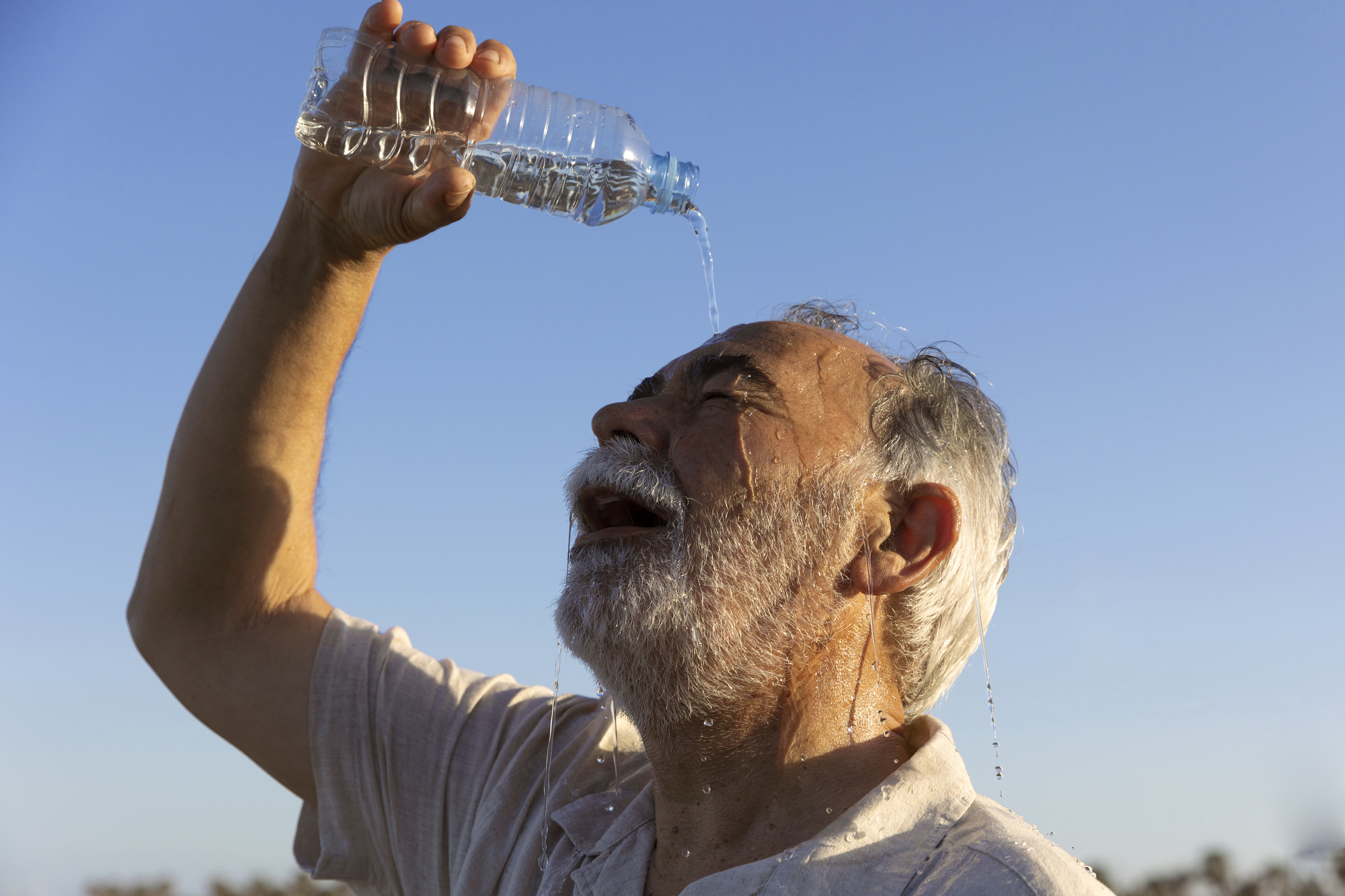 Brain Temperature-Emotion Network Prevents Heatstroke