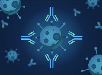 Amazing Role of Immune Regulator Revealed