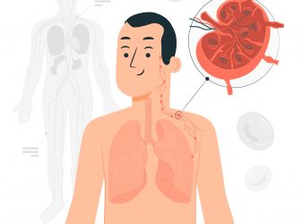 Thymus in adults