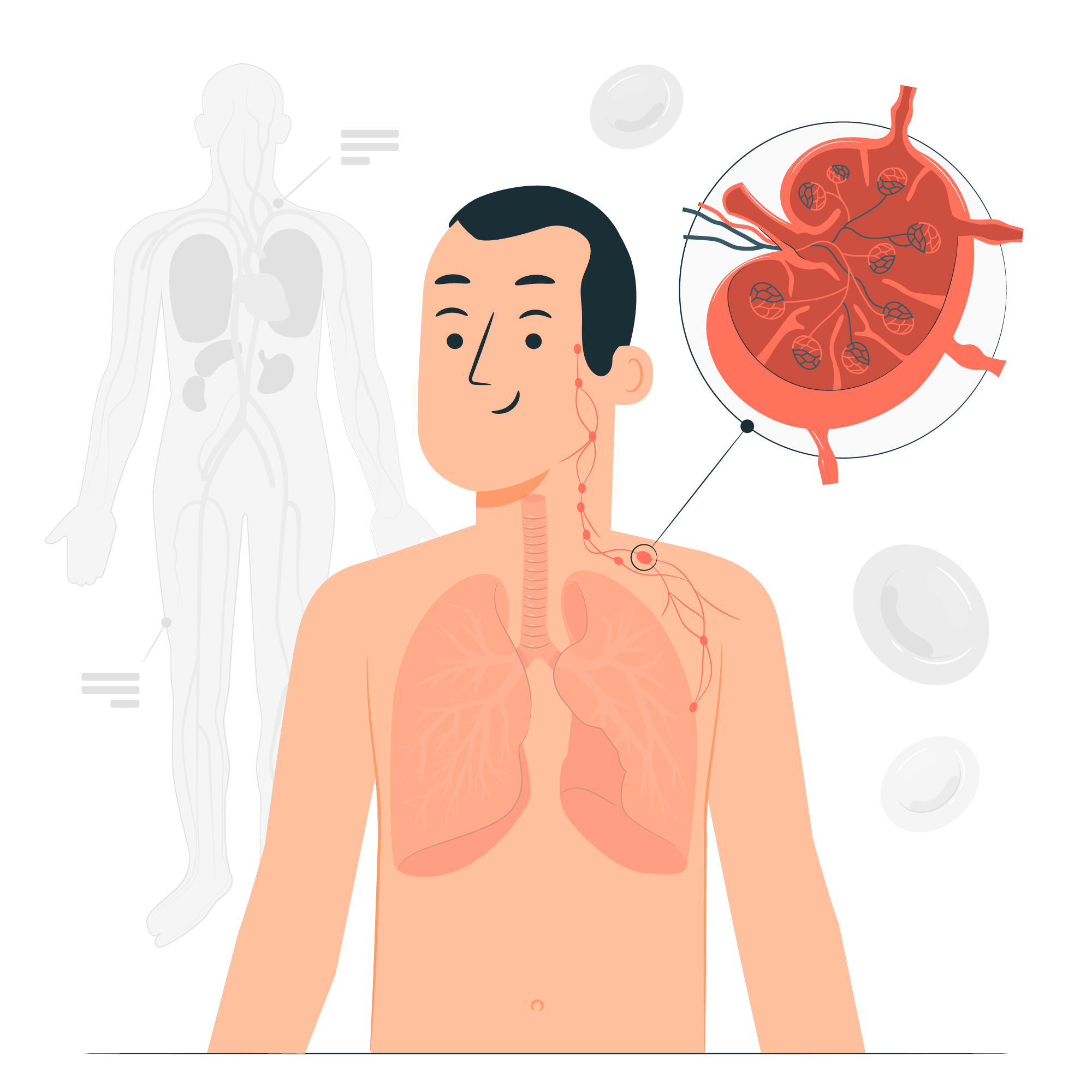 Thymus in adults