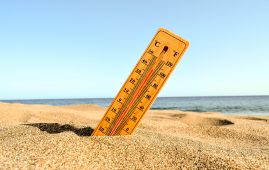A Warming Climate Highlights Kidney Disease