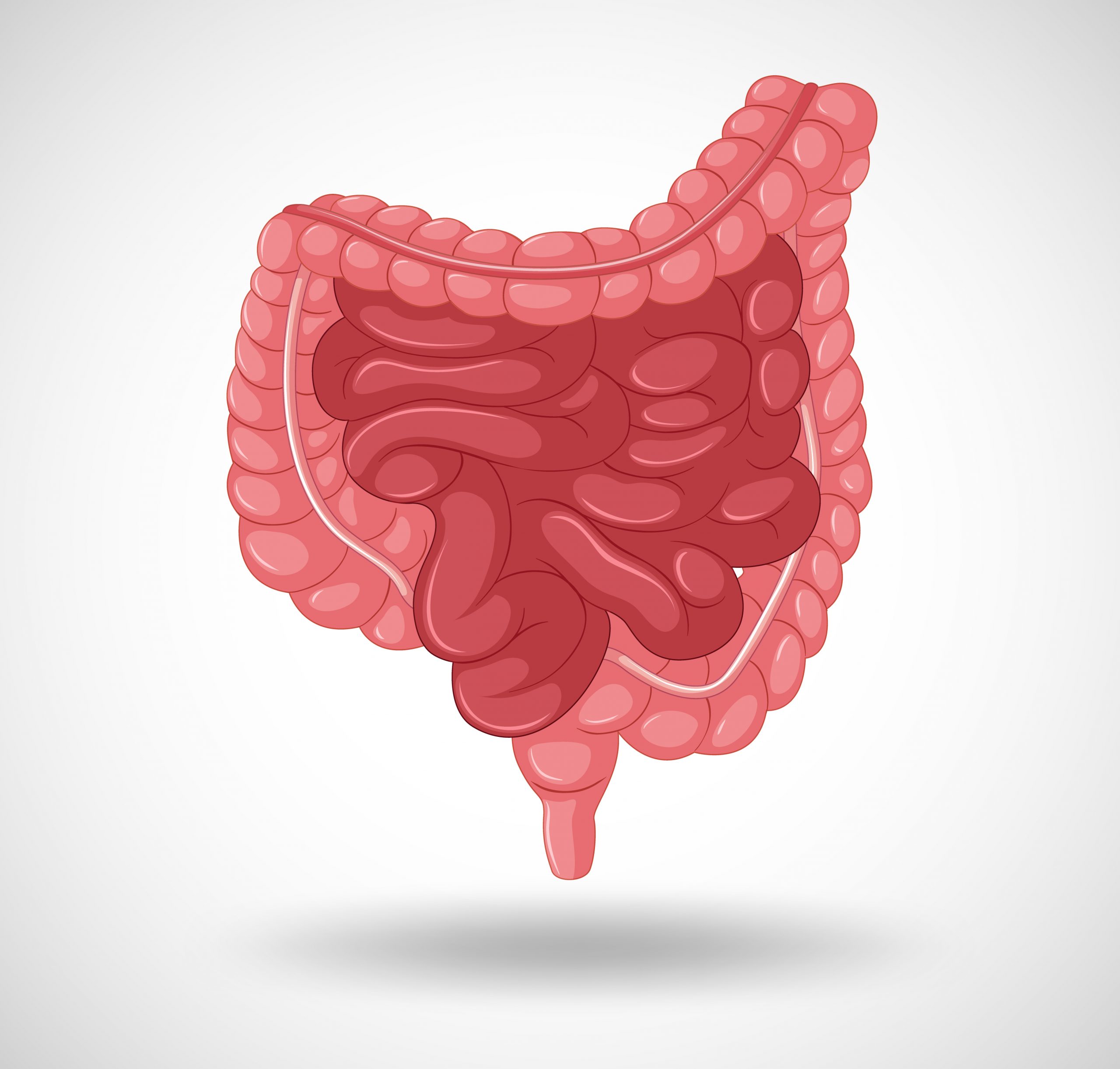 Driver of Inflammatory Bowel Disease Unveiled