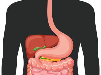 Oral-Gut Axis