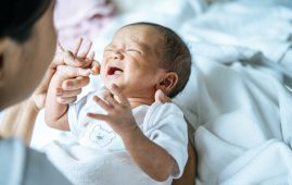 New Brain Circuit Explains Infant Cries Cause Milk Release