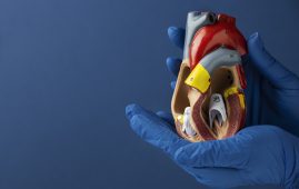 Second Transplant of Pig Heart