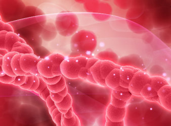 Functionality of RNA-binding Protein RBFOX2 Revealed