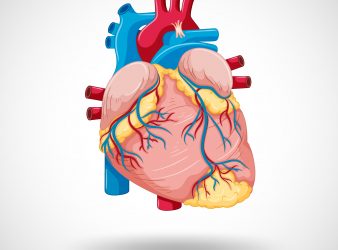 coronary calcium in heart disease