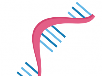 Researchers Obtain Protein Structural Insights with Strong AI Technology