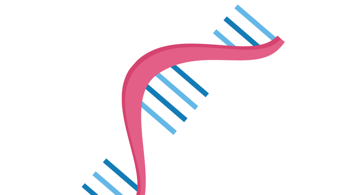 Researchers Obtain Protein Structural Insights with Strong AI Technology