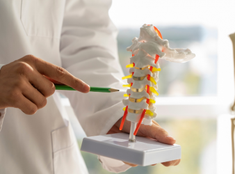 Studies suggest spinal cord damage induces muscle wasting