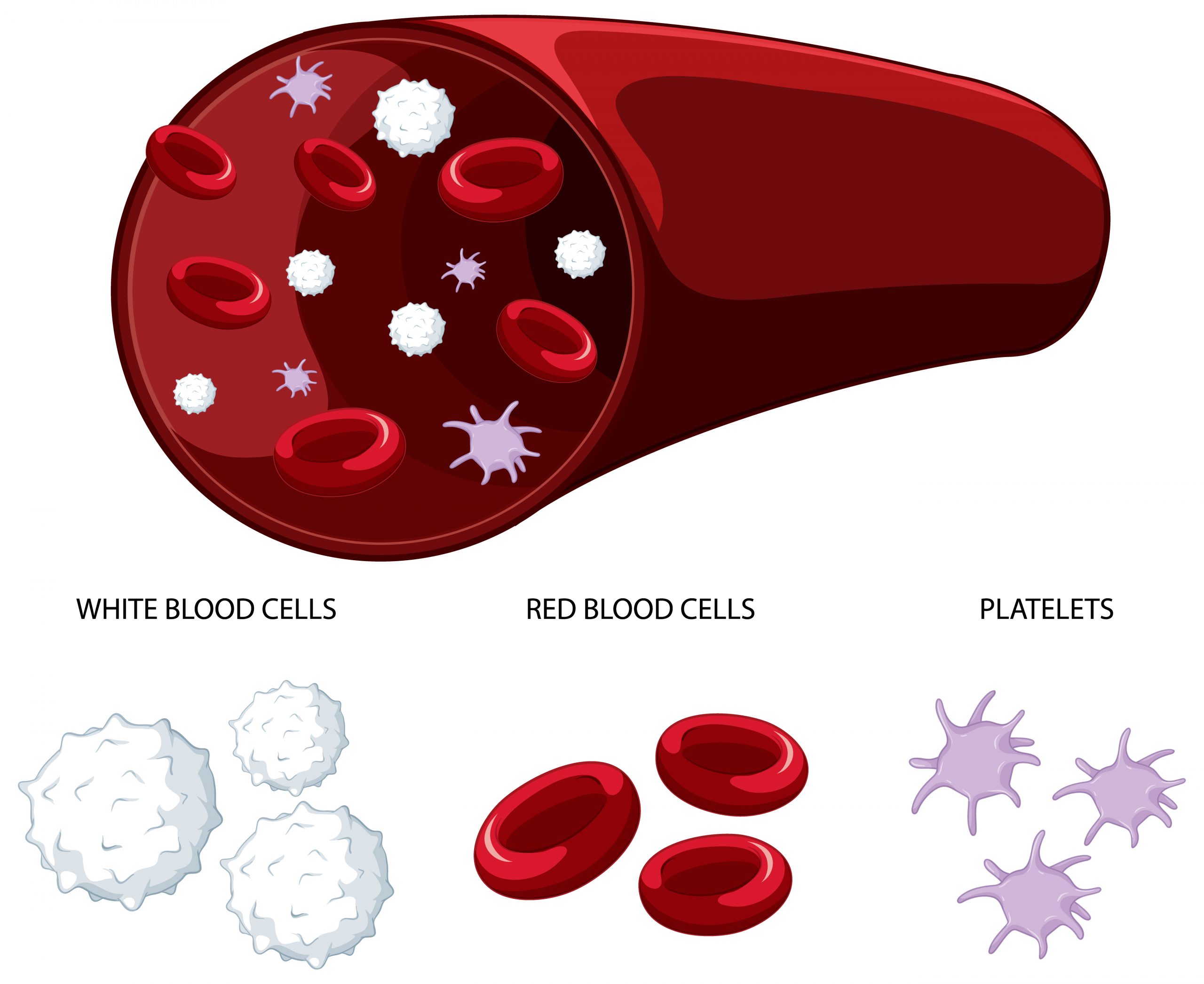 FDA Approves First Sickle Cell Disease CRISPR Gene Editing Treatment