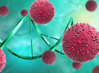Cancer's novel immune evasion regulator identified