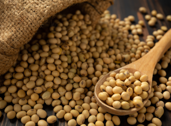 Research Shows Soy Reduces Breast Cancer Recurrence and Improve Survival