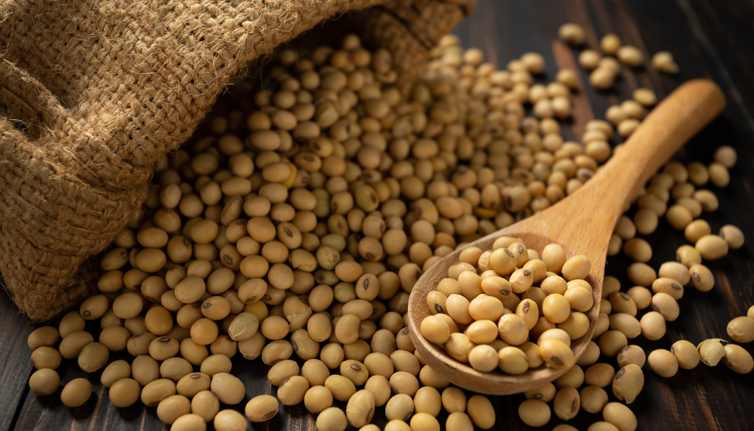 Research Shows Soy Reduces Breast Cancer Recurrence and Improve Survival