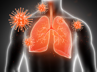 Role of Immune System in Lung Cancer