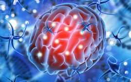 Neurodegeneration after Traumatic Brain Injury - Gladstone Institutes Research
