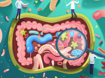 gut bacteria
