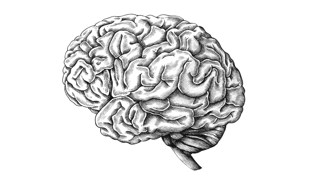 Personalized Brain Connectivity in Blind Individuals