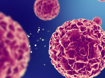 Triad of Immune Cells Boosts Cancer Immunotherapy Success