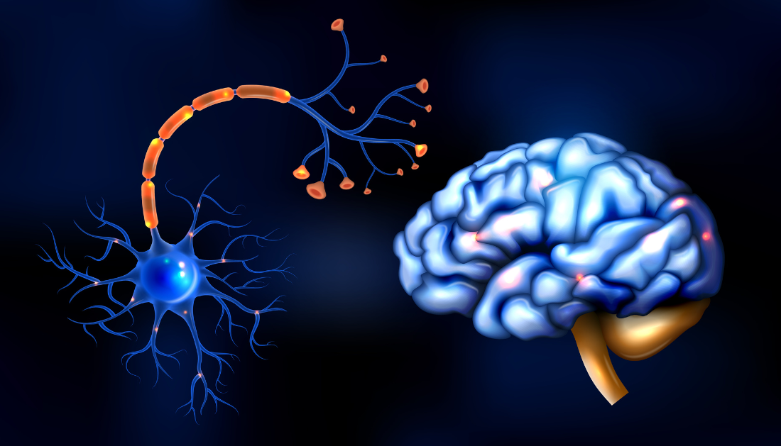 How Serotonin Shapes Behavior in Negative Situations