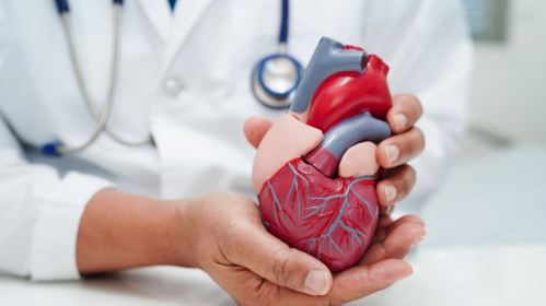 SGLT2 Inhibitors, Heart Failure, PANK1, Cardiology, Heart Failure Treatment, Cardiac Energy Metabolism, Coenzyme A, Cardiovascular Disease, Diabetes, Cardiac Function, Heart Failure Research, Cardiovascular Medicine, Metabolic Pathways, Cardiac Metabolism, HCPs, SGLT2 inhibitor mechanism, heart failure management, cardiovascular disease, cardiac metabolism, PANK1 activation, heart failure research