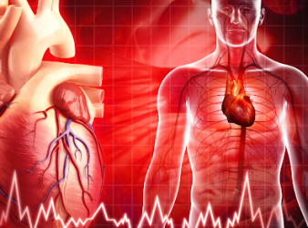 TAVI, transcatheter aortic valve implantation, valve durability, hemodynamic valve deterioration, cardiology CME, valve sizing, aortic stenosis treatment, valve reintervention, VARC-3, surgical AVR, cardiac imaging, valve outcomes, echocardiography follow-up, interventional cardiology, Society of Thoracic Surgeons