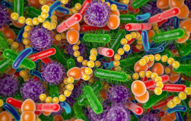 gut microbiome