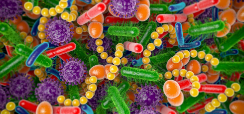 gut microbiome