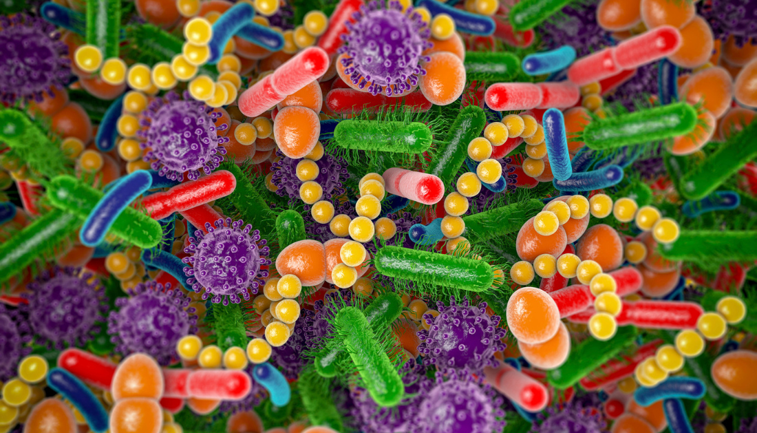 gut microbiome